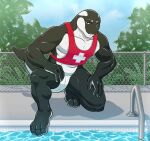  aitch bottomless cetacean clothed clothing dolphin hi_res lifeguard male mammal marine oceanic_dolphin orca pool shirt slit tank_top toothed_whale topwear 