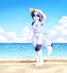  anthro beach black_body black_ears black_fur black_hair black_tail blush border_collie canid canine canis clothed clothing cloud collie domestic_dog dress female floppy_ears fluffy fluffy_hinu fluffy_tail fur hair hat headgear headwear herding_dog hi_res mammal multicolored_body multicolored_fur multicolored_hair pastoral_dog seaside sheepdog solo sun_hat tail two_tone_body two_tone_fur two_tone_hair white_body white_fur white_hair white_tail yellow_eyes 