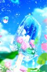  blue_sky blurry blurry_background cloud day double_exposure flower food highres makoron117117 no_humans original outdoors pink_flower plant popsicle scenery sky still_life water_drop 