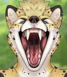  absurd_res anthro cheetah felid feline hi_res macro male mammal micro mouth_shot open_mouth selreini_(character) solo surylimon vore 