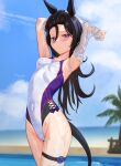  1girl animal_ears armpits beach black_hair blurry blurry_background blush breasts cowboy_shot hair_between_eyes highres horse_ears horse_girl horse_tail long_hair looking_at_viewer one-piece_swimsuit outdoors purple_eyes rice_shower_(umamusume) solo swimsuit tail tatsumi_yashiro thigh_strap umamusume wet wet_clothes 