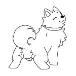  animal_genitalia animal_penis animated anus balls bouncing_balls canid canine canine_genitalia canine_penis canis collar curled_tail domestic_dog feral genitals husky ignoremeee22 looking_at_viewer looking_back male mammal nordic_sled_dog penis penis_tip sheath solo solo_focus spitz tail 