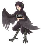  1girl animal_ears bandeau bird_ears bird_legs bird_tail black_bandeau black_feathers black_wings commentary drazhill english_commentary fang feathered_wings feathers hair_between_eyes hair_ornament harpy highres leaf_hair_ornament looking_at_viewer medium_hair messy_hair midriff monster_girl navel original pink_hair simple_background slit_pupils smile solo tail tail_feathers talons two-tone_bandeau white_background white_bandeau winged_arms wings 