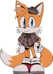  1boy animal_ears animal_nose blue_eyes body_fur brown_capelet brown_headwear capelet closed_mouth digimin fedora fox_boy fox_ears fox_tail full_body furry furry_male gloves hands_on_own_hips happy hat looking_at_viewer male_child male_focus mini_hat multiple_tails non-web_source official_art plaid_capelet red_footwear shoes simple_background smile socks solo standing tail tails_(sonic) the_murder_of_sonic_the_hedgehog transparent_background two-tone_fur two_tails white_fur white_gloves white_socks yellow_fur 