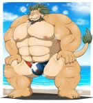  abs absurd_res anthro arsalan beach beard blush bulge burenai clothing crouching facial_hair felid green_hair hair hi_res lifewonders lion male mammal mane mature_male muscular muscular_anthro muscular_male nipples pantherine pecs seaside solo speedo swimwear tokyo_afterschool_summoners 