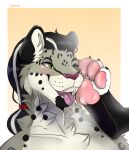  absurd_res blush duo feet felid foot_fetish hi_res male mammal pantherine paw_on_face snow_leopard tyrartist umbrose 