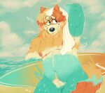  &lt;3 2023 anthro areola australian_cattle_dog barbell_piercing beach biped black_nose blue_body blue_fur bluey_(series) canid canine canis cattledog cloud crotch_tuft day digital_media_(artwork) domestic_dog eyebrows fur herding_dog hi_res holding_object holding_surfboard male mammal mastectomy_scar misplacedpaws navel nipple_barbell nipple_piercing nipples nude orange_body orange_fur outside pastoral_dog piercing pose radley_heeler red_body red_fur scar sea seaside sky slightly_chubby smile solo standing surfboard tail tan_body tan_fur towel tuft water wet 