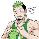  1boy bara bare_arms black_hair blush bodysuit facial_hair goatee green_bodysuit green_hair highres ikusaba_daisuke large_pectorals long_sideburns looking_at_viewer male_focus multicolored_hair muscular muscular_male pectorals saro_(rotsw_00022) short_hair shy sideburns singlet solo taurus_mask tokyo_afterschool_summoners two-tone_hair upper_body wrestling_mask wrestling_outfit 