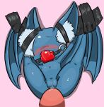  anthro ball_gag bdsm blush bondage bound disembodied_penis duo eyeless female gag generation_1_pokemon genitals human interspecies male male/female mammal nintendo penis pokemon pokemon_(species) pokephilia pussy size_difference smaller_female spread_legs spreading tape vono zubat 