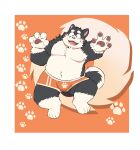  2023 4_fingers 4_toes anthro belly blush bulge canid canine canis clothing domestic_dog feet fingers ginnosuke hi_res humanoid_hands kemono male mammal moobs overweight overweight_male solo toes underwear 
