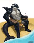  2023 abs absurd_res anthro beach biceps black_body buckovskiart bulge cetacean chair clothed clothing digital_media_(artwork) fin furniture hi_res male mammal marine muscular muscular_anthro muscular_male muscular_thighs navel nipples pecs quads sand seaside sitting smile solo speedo speedo_only swimwear tail thick_thighs topless water were werecetacean wereorca white_body 