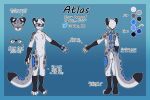  anthro atlas_(atlas_jkb) atlas_jkb black_body black_fur blue_body blue_eyes blue_fur blue_nose blue_pawpads butt claws countershading digitigrade eyewear featureless_crotch felid fur glasses gloves_(marking) grey_body grey_fur hair hi_res leg_markings leopard_spots male mammal markings model_sheet pantherine pawpads snow_leopard socks_(marking) solo spots standing text twitter twitter_logo white_body white_fur white_hair 