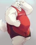  2023 anthro belly big_belly black_nose canid canine canis domestic_dog hi_res kemono male mammal noctnoc overweight overweight_male solo tongue tongue_out white_body wrestling_singlet 