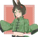  1boy alternate_costume animal_ear_fluff animal_ears black_hair blush border chinese_clothes commentary cropped_shirt earrings floral_print fox_boy fox_ears genshin_impact green_eyes green_hair highres jewelry looking_at_viewer male_focus midriff multicolored_hair papipipi71 red_background solo tighnari_(genshin_impact) tongue tongue_out very_long_sleeves white_border 