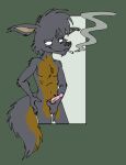  cigarette erection fur grey_body grey_fur male smoking tabbiewolf unknown_species 