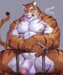  2023 abs absurd_res anthro areola barazoku biceps black_body black_ears black_fur chair cigarette cigarette_smoke claws detailed facial_markings felid flaccid foooooxes foreskin frown frowning_at_viewer fur furniture genitals grey_background head_markings head_tilt hi_res holding_cigarette holding_object humanoid_genitalia humanoid_penis male mammal manly markings multicolored_body multicolored_ears multicolored_fur muscular narrowed_eyes nipples on_chair orange_body orange_eyes orange_fur pantherine pecs penis pink_nose portrait presenting presenting_balls presenting_penis shadow sharp_claws simple_background sitting smoke solo spread_legs spreading squint thick_thighs tiger triceps vein veiny_arms veiny_penis whiskers white_body white_ears white_fur yellow_sclera 