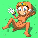  anthro anus breasts echidna female genitals grass_field hefess mammal monotreme nipples orange_body pussy sega solo sonic_adventure sonic_the_hedgehog_(series) spread_legs spreading tikal_the_echidna 