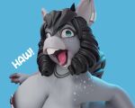  3d_(artwork) animal_noises anthro asinus big_breasts black_hair blue_eyes braying breasts buckteeth chunkerbuns curled_hair derp_eyes digital_media_(artwork) donkey ear_piercing equid equine female fur grey_body grey_fur hair haylee_(chunkerbuns) hee_haw humor mammal nipple_piercing nipples piercing solo teeth tongue tongue_out 