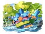  :d absurdres border commentary_request day highres looking_down lotad mudkip no_humans open_mouth outdoors pokemon pokemon_(creature) pppdounut riding riding_pokemon rock smile water water_drop white_border wingull 