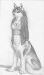  19:32 2013 blouse bottomless bottomless_female bottomless_taur breasts canid canid_taur canine canine_taur canis chukchi_husky claws clothed clothing countershade_face countershade_torso countershading dog_taur domestic_dog female finger_claws graphite_(artwork) hair hi_res husky husky_taur jacket looking_at_viewer mammal mammal_taur medium_breasts nordic_sled_dog pencil_(artwork) shaded sitting soft_shading solo spitz taur topwear topwear_only traditional_media_(artwork) 