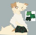 ambiguous_gender anthro big_tail black_nose brown_ears canid canine canis clothed clothing clothing_lift domestic_dog fur goobysart looking_at_viewer mammal microsoft minecraft mojang pantsless pantsless_anthro reference_image shirt shirt_lift simple_background solo standing sweater tail tan_body tan_fur topwear underwear white_clothing white_sweater white_topwear xbox_game_studios 