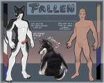  absurd_res anthro canid canine canis clothing fetish_gear glistening glistening_body hi_res host human juckxony latex male mammal model_sheet rubber rubber_clothing rubber_suit solo wolf zipper 