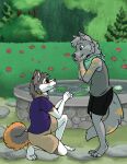 absurd_res anthro canid canine canis curlyshep domestic_dog duo flower fountain garden german_shepherd herding_dog hi_res husky kneeling lou_(thewolf) male male/male mammal nordic_sled_dog on_one_knee outside pastoral_dog plant propositioning rhari romantic spitz wolf 