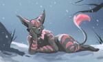  anthro black_body black_fur exotic_species fur hi_res looking_at_viewer male patreon_artist patreon_link patreon_username red_stripes snow solo stampmats stripes tail unusual_anatomy unusual_tail yellow_eyes 