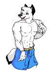  2009 abs anthro blue_eyes bottomwear canid canine canis chuck_(danellz) clothing danellz digital_media_(artwork) domestic_dog fur male mammal muscular muscular_anthro muscular_male open_mouth shorts simple_background solo towel white_background white_body white_fur 