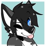  anthro black_hair blue_eyes canid canine canis domestic_dog fur grey_body grey_fur hair hi_res husky male mammal nordic_sled_dog one_eye_closed rose_puppies sleek solo spitz tongue tongue_out white_body white_fur wink 
