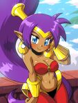  2022 blue_eyes breasts brown_body brown_skin cleavage clothed clothing cloud day ear_piercing ear_ring female genie hair hi_res humanoid humanoid_pointy_ears linkerluis long_hair navel not_furry piercing ponytail purple_hair ring_piercing shantae shantae_(series) signature simple_background smile solo wayforward 