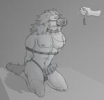  anthro black_and_white canid canine canis chastity_cage chastity_device collar domestic_dog hi_res hound_dog_(my_hero_academia) kinktober leash leashed_collar leashed_male male mammal monochrome muzzle_(object) petplay roleplay solo 