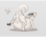  anthro belly cmitchell digestion dragon fur hi_res horn long_tail male paws scalie solo tail tongue vore white_body white_fur 