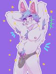  anthro bulge clothed clothing erection erection_under_clothing eyebrows eyewear fur genital_outline glackeru glasses hi_res lagomorph leporid male mammal muscular muscular_male nipples penis_outline pose purple_body purple_fur rabbit simple_background solo solo_focus solo_in_panel tail thick_eyebrows underwear 