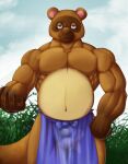  2023 animal_crossing anthro apron biceps biped blue_eyes brown_body brown_fur bulge chibikoma claws clothed clothing digital_drawing_(artwork) digital_media_(artwork) fur hi_res lidded_eyes looking_at_viewer male mammal muscular muscular_anthro muscular_male navel nintendo outside pecs procyonid raccoon sky solo tom_nook_(animal_crossing) topless topless_male 