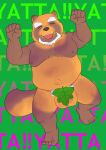  2023 anthro balls beard belly big_balls canid canine eyes_closed facial_hair genitals hi_res kemono leaf male mammal moobs navel nipples overweight overweight_male raccoon_dog solo tabo_bear tanuki text 