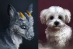  2_horns ambiguous_gender black_nose bovid c1candy canid canine canis caprine detailed detailed_fur domestic_dog duo feral floppy_ears fluffy fur goat gold_dust_(ezpups) grey_body grey_fur headshot_portrait horn inner_ear_fluff mammal portrait realistic snout tuft white_body white_fur 