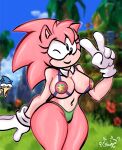  absurd_res amy_rose anthro big_breasts breasts classic_amy_rose classic_sonic_(universe) female fur hi_res patatero69 pink_body pink_fur sega solo sonic_the_hedgehog sonic_the_hedgehog_(series) thick_thighs 