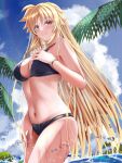  1girl bare_arms bikini black_bikini blonde_hair blue_sky blush bracelet breasts cleavage closed_mouth cloud cowboy_shot day fate_testarossa highres jewelry large_breasts long_hair looking_at_viewer lyrical_nanoha mahou_shoujo_lyrical_nanoha_strikers navel o-ring o-ring_bikini outdoors palm_tree red_eyes sky smile solo sougetsu_izuki standing straight_hair summer swimsuit tree very_long_hair wading 