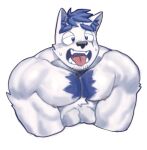  1boy absurdres animal_ear_fluff animal_ears bara blue_doggo_(ttn) blue_fur blue_hair chest_tuft cropped_shirt dog_boy dog_ears furry furry_male goatee_stubble half-closed_eyes highres huge_eyebrows large_pectorals male_focus muscular muscular_male open_mouth original pectoral_squeeze pectorals short_hair solo sweat thick_eyebrows tongue tongue_out ttn_(239_239) two-tone_fur v_arms white_fur 