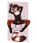  ailurid anthro blush blush_lines chastity_cage chastity_device chest_tuft clothed clothing diaper diaper_change embarrassed hi_res male mammal omopaws red_panda solo solo_focus tuft wearing_diaper 