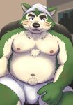  anthro bandanna belly blush briefs bulge canid canine canis clothing domestic_dog eyebrows fur green_body green_fur hi_res kerchief ksky21 lifewonders live_a_hero looking_at_viewer male mammal mokdai navel nipples overweight shirtless solo thick_eyebrows tighty_whities underwear white_briefs white_clothing white_underwear 