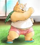  2023 anthro blush bottomwear brown_body canid canine canis clothing domestic_dog footwear humanoid_hands kemono male mammal outside overweight overweight_male sandals shirt shorts solo topwear toshi_(artist) 