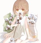  bare_arms barefoot blush brown_eyes brown_hair commentary cotton_(plant) covered_mouth dress green_ribbon hair_between_eyes hair_ornament hair_ribbon hairclip highres holding long_hair looking_at_viewer low_twintails original pointy_ears ribbon shadow simple_background sitting sleeveless sleeveless_dress squirrel_girl_(yuuhagi_(amaretto-no-natsu)) twintails very_long_hair wariza white_background white_dress yuuhagi_(amaretto-no-natsu) 