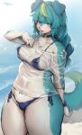  anthro bikini bikini_bottom bikini_top blue_body blue_eyes blue_fur blue_hair blush breasts canid canine clothing female fur hair hi_res mammal open_mouth shirt simple_background small_breasts solo suurin_2 swimwear topwear translucent translucent_clothing wet wet_clothing 