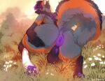  anthro anus backsack balls big_butt brown_body brown_fur butt canid canine flower fur genitals grey_body grey_fur hi_res huge_butt joonkorner kneeling looking_at_viewer looking_back looking_back_at_viewer male mammal multicolored_body multicolored_fur on_grass on_ground outside pawpads plant puffy_anus purple_anus purple_pawpads solo 