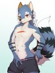  2020 abs anthro balls_outline bedroom_eyes black_nose boxer_briefs boxer_briefs_only bulge canid canine canis cheek_tuft chest_scar claws clothed clothing facial_tuft fluffy fluffy_tail front_view furry-specific_brand genital_outline gradient_background grin hi_res holding_bulge looking_at_viewer male mammal maned_wolf markings muscular muscular_male narrowed_eyes navel owo pecs penis_outline portrait presenting_bulge pupils raised_tail red_eyes ricky945 ring_(marking) ringtail scar seductive simple_background skimpy slit_pupils smile solo standing tail tail_markings three-quarter_portrait topless tuft underwear underwear_only white_claws wolf 