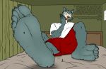  2023 5_fingers 5_toes anthro barefoot beastars bed bed_sheet bedding bottomwear canid canine canis claws clothing colored curtains curtains_closed dialogue digital_drawing_(artwork) digital_media_(artwork) english_text feet fingers foot_fetish foot_focus fur furniture grey_body grey_claws grey_fur hi_res humanoid_feet inside larger_anthro larger_male legoshi_(beastars) macro male mammal micro phone phone_call plantigrade red_bottomwear red_clothing red_shorts shirt shorts size_difference smaller_anthro smellslikejavier stick_figure tail text toe_claws toes topwear unaware white_body white_clothing white_fur white_shirt white_topwear wolf 