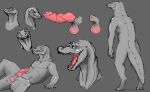  absurd_res animal_genitalia anthro balls crocodilian digital_drawing_(artwork) digital_media_(artwork) erection ethan0 genitals grey_background grey_body hi_res knot male nude open_mouth penis pink_penis presenting reptile scalie sheath simple_background 