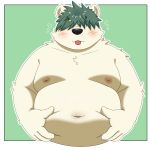  2023 anthro bear belly big_belly black_nose green_hair hair hi_res kemono male mammal moobs navel nipples overweight overweight_male solo tongue tongue_out white_body yaki_atsuage 